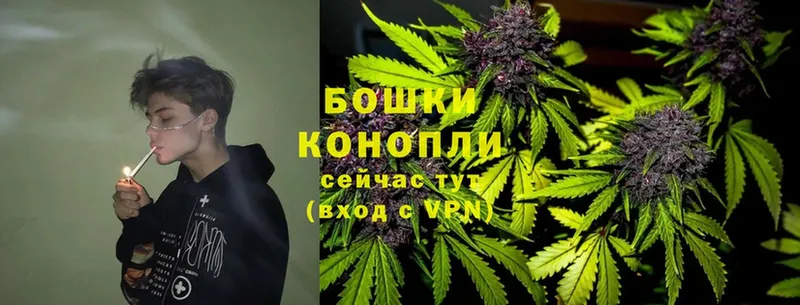 Каннабис SATIVA & INDICA  купить  цена  Ярцево 